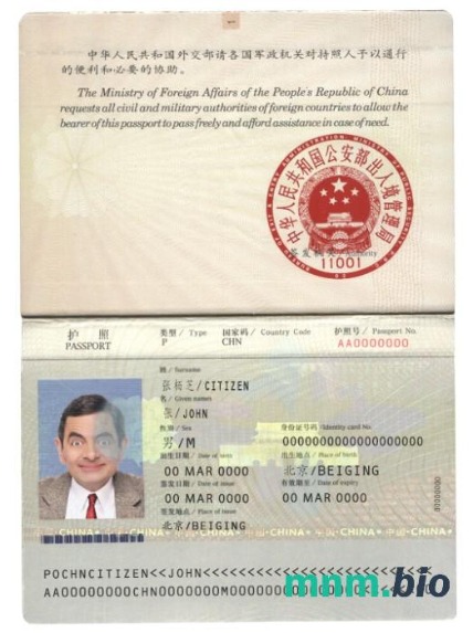 China pass (2007-2009) przykład w formacie PSD